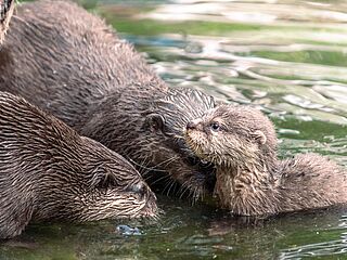Tierpark Gotha © Frederik Linti_KTS