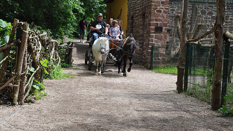 PM 47-2026 Tierparkfest_1 ©KulTourStadt Gotha GmbH