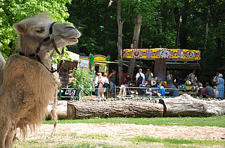Kindertag im Tierpark (c)B.Schwarz Kindertag im Tierpark (c)B.Schwarz