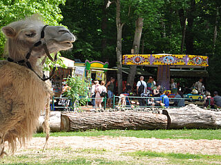 Kindertag im Tierpark (c)B.Schwarz Kindertag im Tierpark (c)B.Schwarz