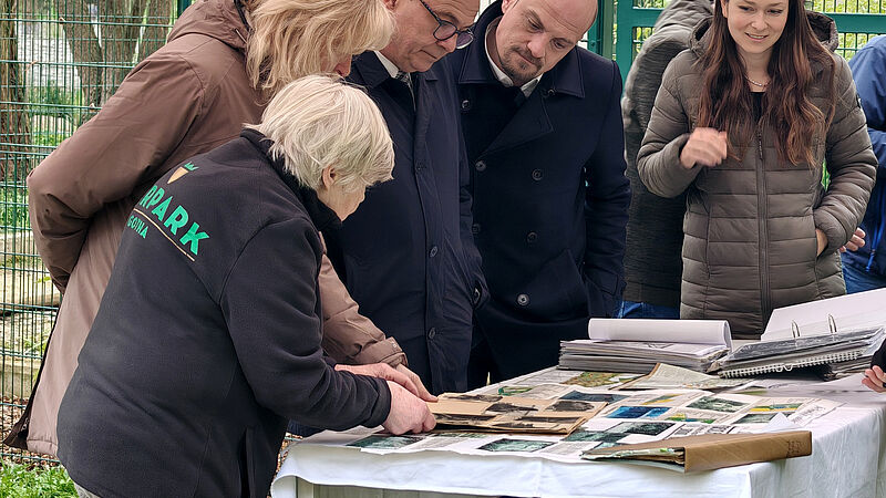PM 24-2026 100 Jahre Tierpark Gotha_2 ©Stadtverwaltung Gotha Präsentation gesammelter Urkunden, Flyer und Fotos der letzten 100 Jahre