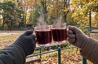 PM 58-2026 Glühweinspaziergang im Tierpark (c)KI-generiertes Symbolbild