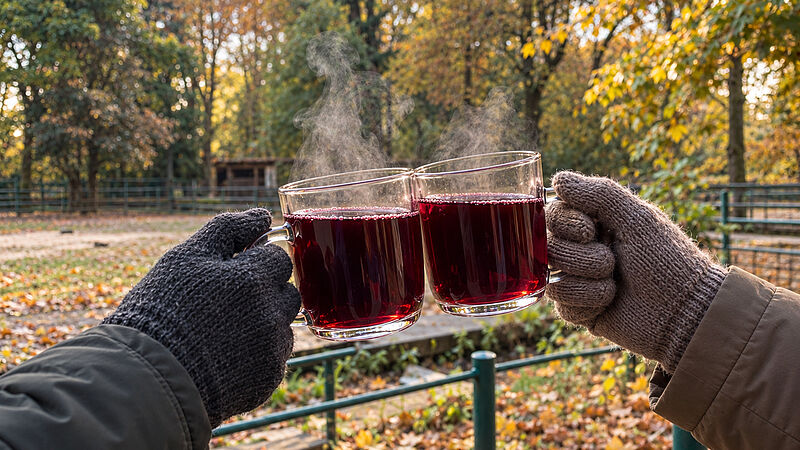 PM 58-2026 Glühweinspaziergang im Tierpark (c)KI-generiertes Symbolbild