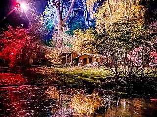 Illumination im Tierpark